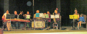 Chinese Orchestra