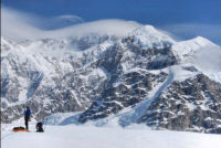 Denali View